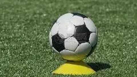 【独家】周日022葡超赛事前瞻：吉维森特对阵波尔图